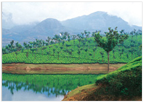 Environment